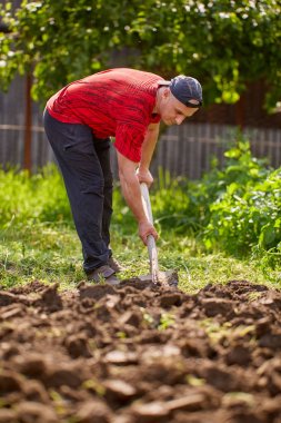 Çiftçi bahçesinde bir kürek ile çalışıyor