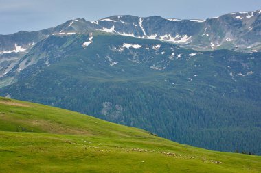 Dağ sırası ve çayırları ile peyzaj