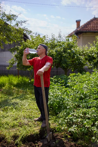 Szomjas Dolgozó Ember Gazdaságban Ivóvíz Kezében Lapátot — Stock Fotó