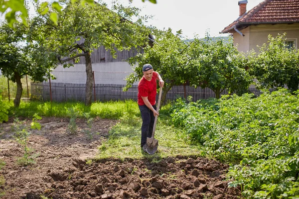 Jordbrukare Som Arbetar Med Spade Sin Trädgård — Stockfoto