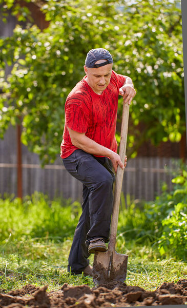 Farmer working with a shovel in his garden