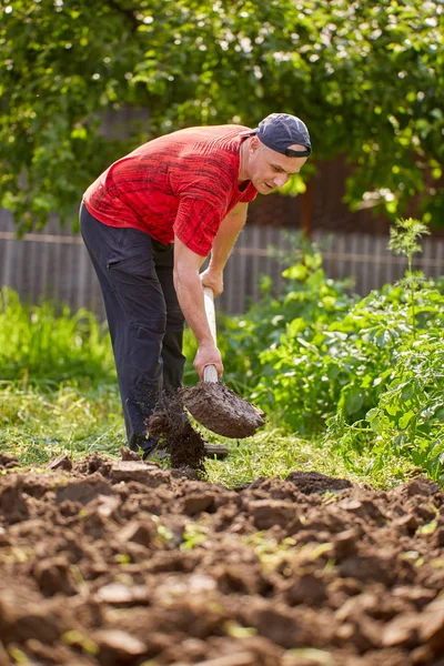 Agricultor Trabajando Con Una Pala Jardín — Foto de Stock