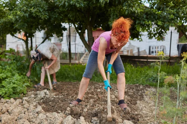 Farmer Lady Her Daughter Hoeing Garden — Stock Photo, Image