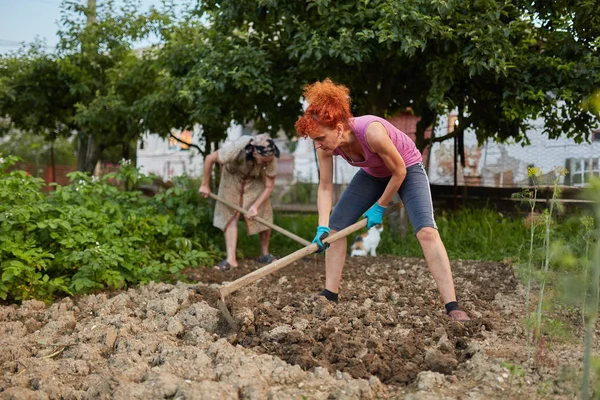 Farmer Lady Her Daughter Hoeing Garden — Stock Photo, Image