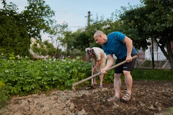 Viejo Madre Hijo Agricultores Que Trabajan Jardín —  Fotos de Stock