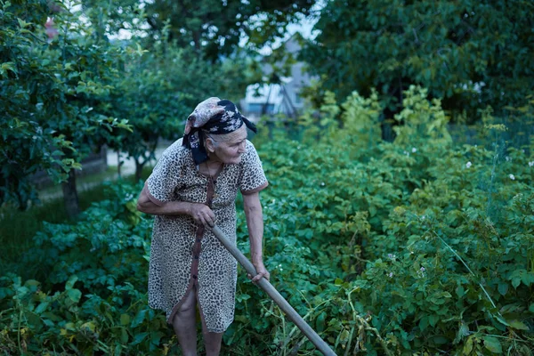 Gros Plan Une Vieille Agricultrice Dans Jardin — Photo