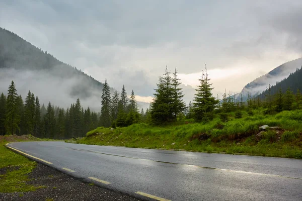 Asphalt Road Going Mountains Mist — Stock Photo, Image