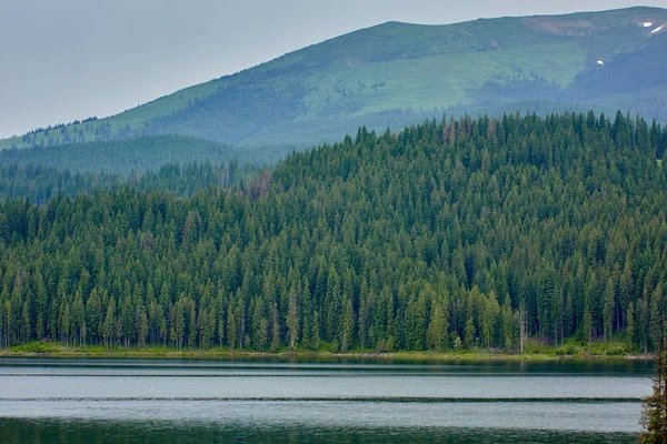 松树覆盖的山脉之间的湖泊景观 — 图库照片