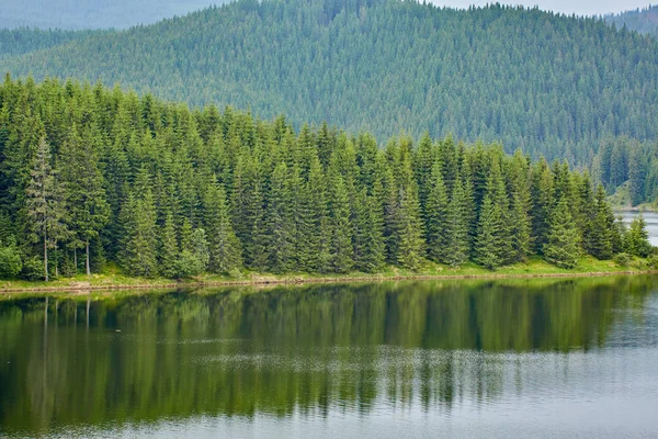 松树覆盖的山脉之间的湖泊景观 — 图库照片