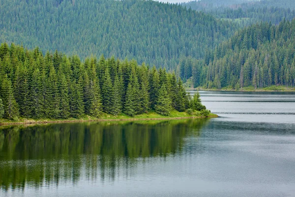 Krajina Jezerem Mezi Borovicemi Pokrytou Horami — Stock fotografie