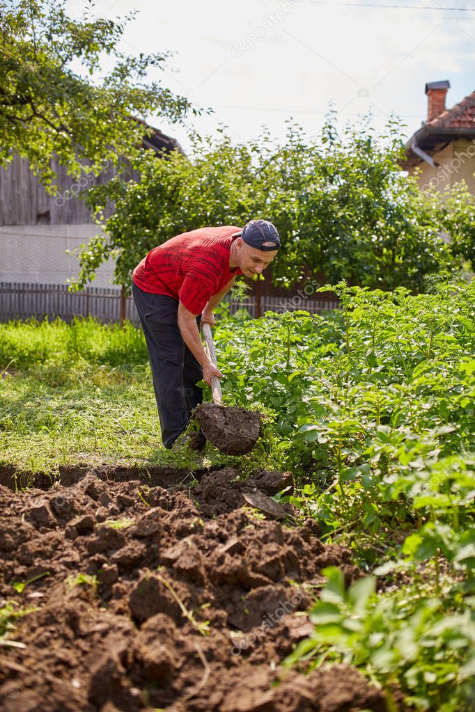 Farmer working with a shovel in his garden