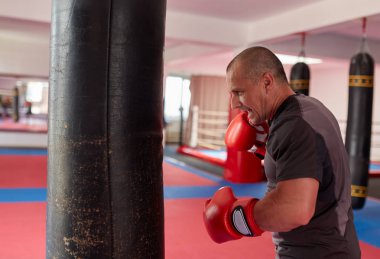 Spor salonunda ağır çanta ile Boxer eğitim 