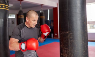 Spor salonunda ağır çanta ile Boxer eğitim 