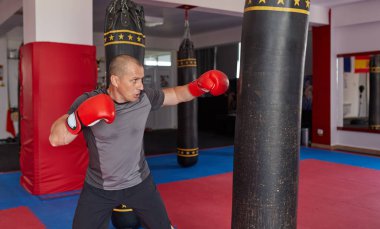 Spor salonunda ağır çanta ile Boxer eğitim 