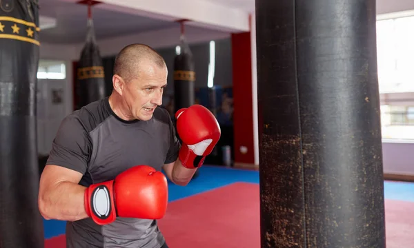 Boxer Training Met Zware Tas Sportschool — Stockfoto