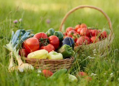 Çimçeşitli sebze Sepeti