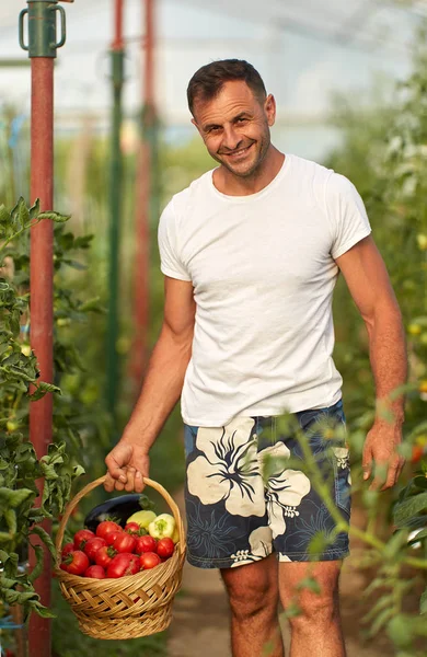 Fermier Avec Une Variété Légumes Dans Panier Debout Dans Serre — Photo