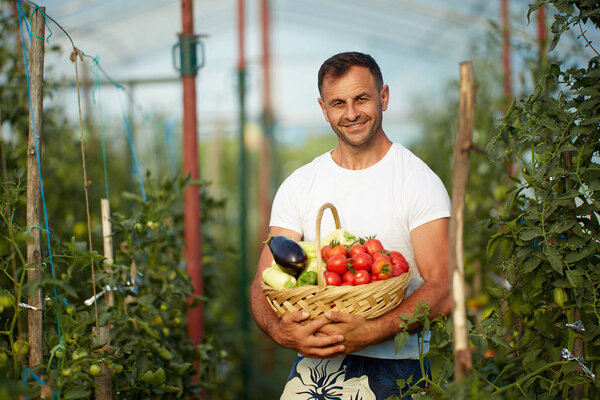 Farmer with a variety of vegetables in a basket, standing in the greenhouse