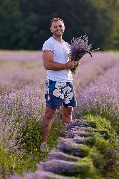 Farmer Harvesting Lavender Sunset — Stock Photo, Image