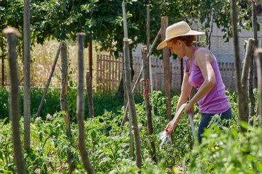 Kadın bahçıvan gündüz bahçesinde bitkiler sulama