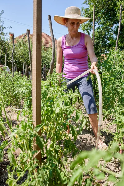 Femme Jardinier Arrosage Des Plantes Dans Son Jardin Jour — Photo