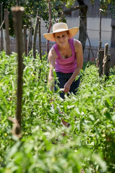 Mulher Jardineiro Plantas Rega Seu Jardim Durante Dia — Fotografia de Stock