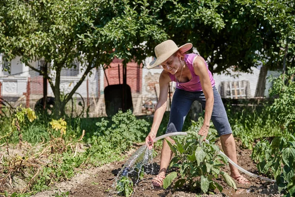 Kvinna Trädgårdsmästare Vattning Växter Hennes Trädgård Dagtid — Stockfoto