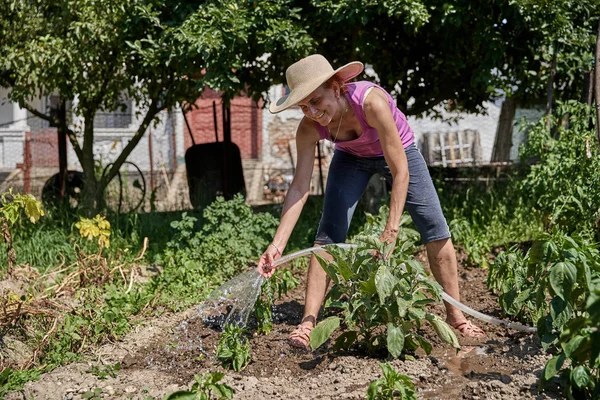 Mulher Jardineiro Plantas Rega Seu Jardim Durante Dia — Fotografia de Stock