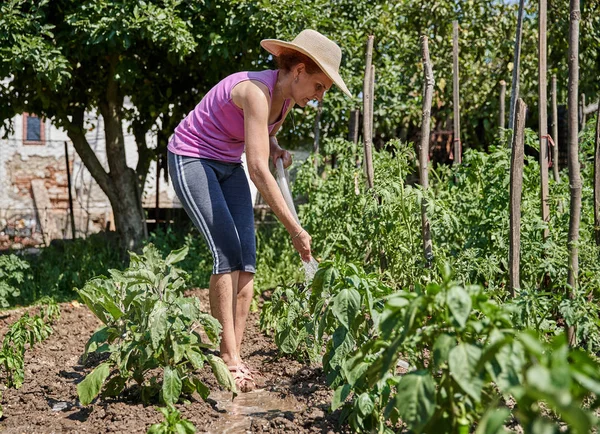Mujer Jardinero Regando Plantas Jardín Durante Día — Foto de Stock