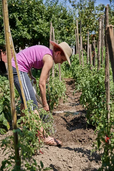 Kvinna Trädgårdsmästare Vattning Växter Hennes Trädgård Dagtid — Stockfoto