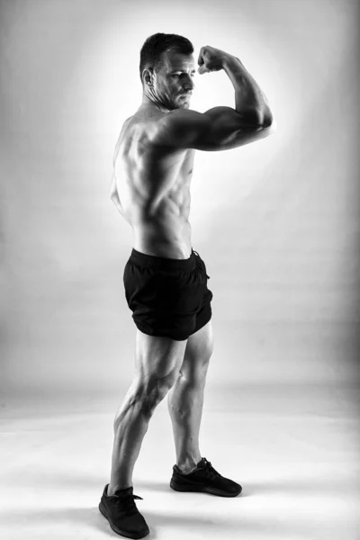 Modelo Fitness Retrato Sobre Fondo Gris Plano Estudio — Foto de Stock