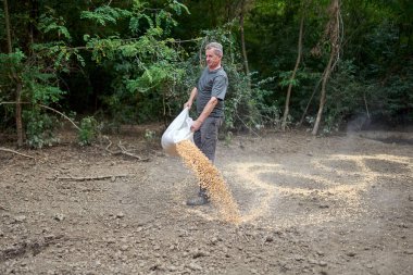 Oyun alanındaki orman bekçisi yere mısır döktü.