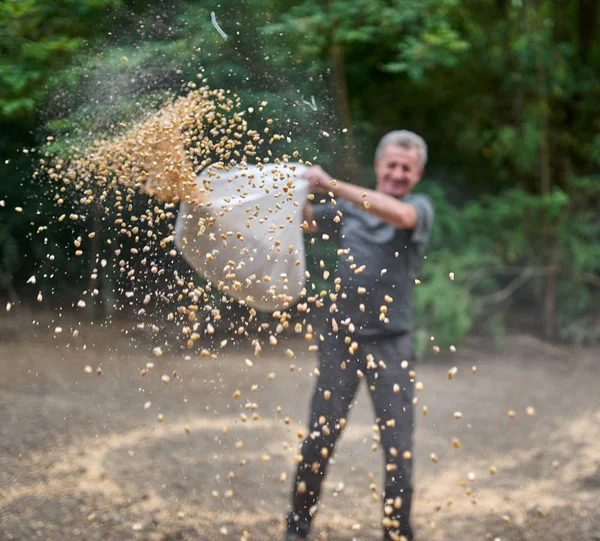 Boswachter Bij Wildvoederplaats Die Maïs Morst Grond — Stockfoto