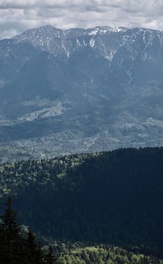 Dağ manzarası ile bir afforested Vadisi