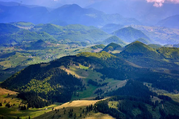 Berglandschap Met Een Beboste Vallei — Stockfoto