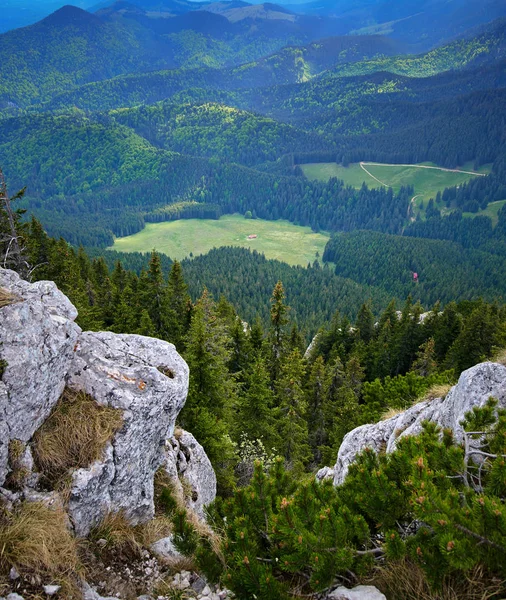 Berglandschaft Mit Einem Bewaldeten Tal — Stockfoto