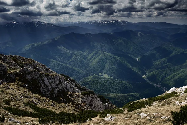 Berglandschaft Mit Einem Bewaldeten Tal — Stockfoto