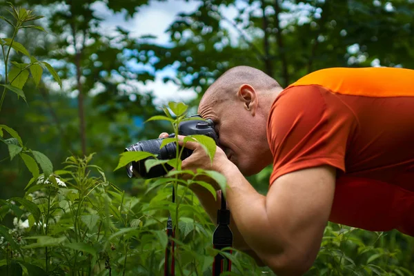 숲에서 야외에서 매크로 장면을 촬영하는 사진작가 — 스톡 사진