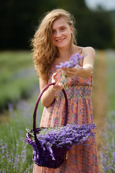 Jonge Aantrekkelijke Boer Vrouw Bloemen Jurk Oogsttijd Haar Lavendel Veld — Stockfoto