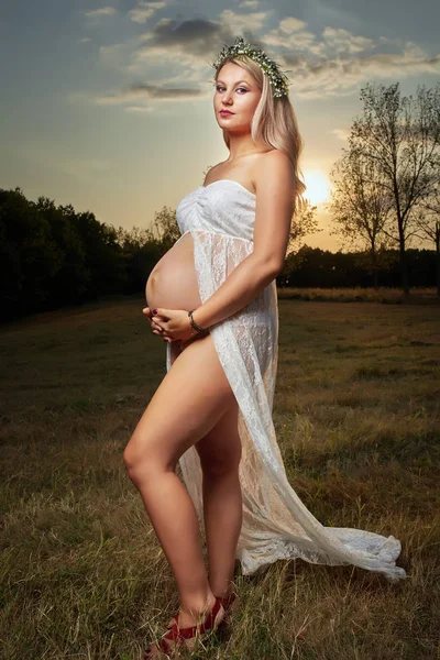 Retrato Una Hermosa Joven Embarazada Aire Libre — Foto de Stock