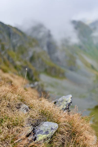 Живописный Пейзаж Горных Вершин Конце Лета — стоковое фото