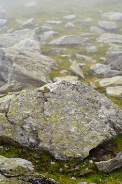 Dağlardaki yürüyüş yolunda dev kaya oluşumları.