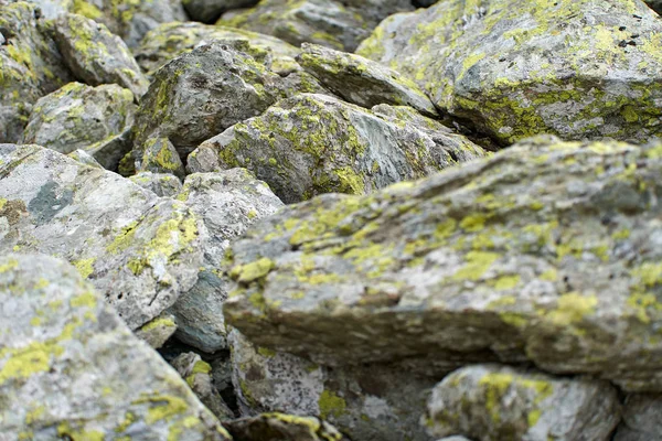 Величезні Скельні Утворення Пішохідній Стежці Горах — стокове фото