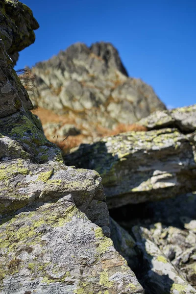 山頂とハイキングコースのある高山からのシーン — ストック写真