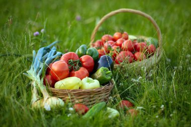Çimenlerde çeşitli sebzelerbir sepet