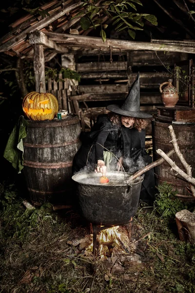 鋳鉄ポットでハロウィーンのための致命的な薬を醸造する古い魔女 — ストック写真