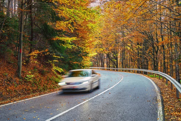 Auto Rast Auf Straße Durch Bunten Wald — Stockfoto