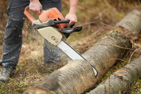 Anonieme Houthakker Met Kettingzaag Snijden Logs — Stockfoto