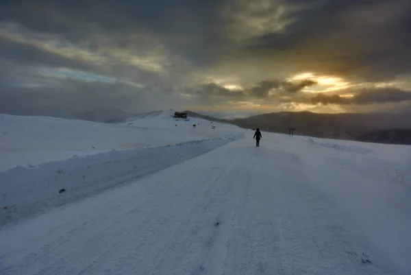 Gün Batımında Kar Fırtınasında Yalnız Bir Kadın — Stok fotoğraf