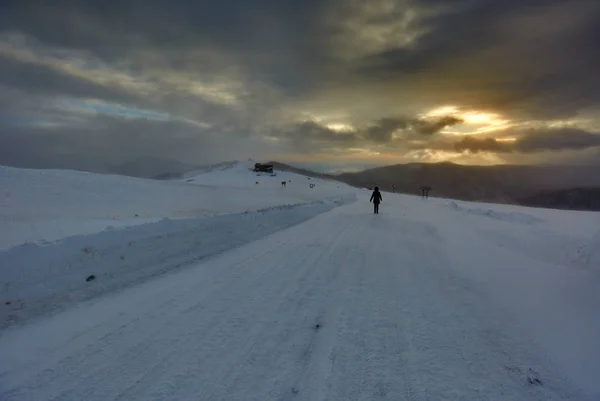 Uma Mulher Sozinha Tempestade Neve Pôr Sol — Fotografia de Stock